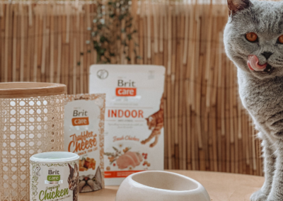 Nano Influencer per Brit Care Cat