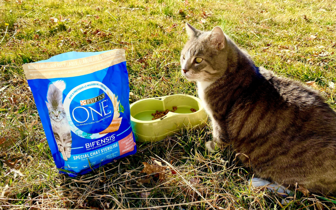 Nano & Micro influenceurs pour Purina One