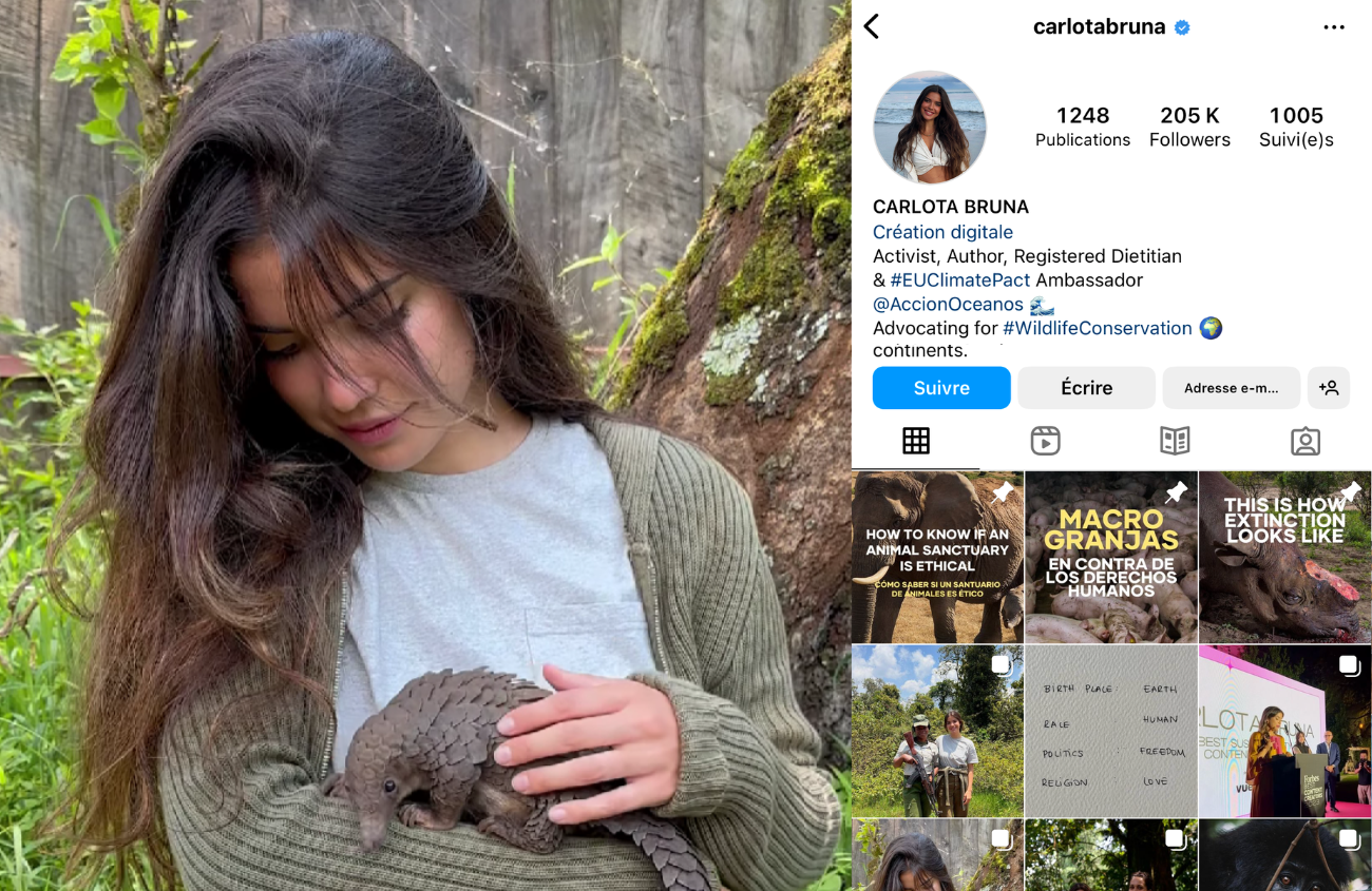 influencer dedicati alla causa animalista