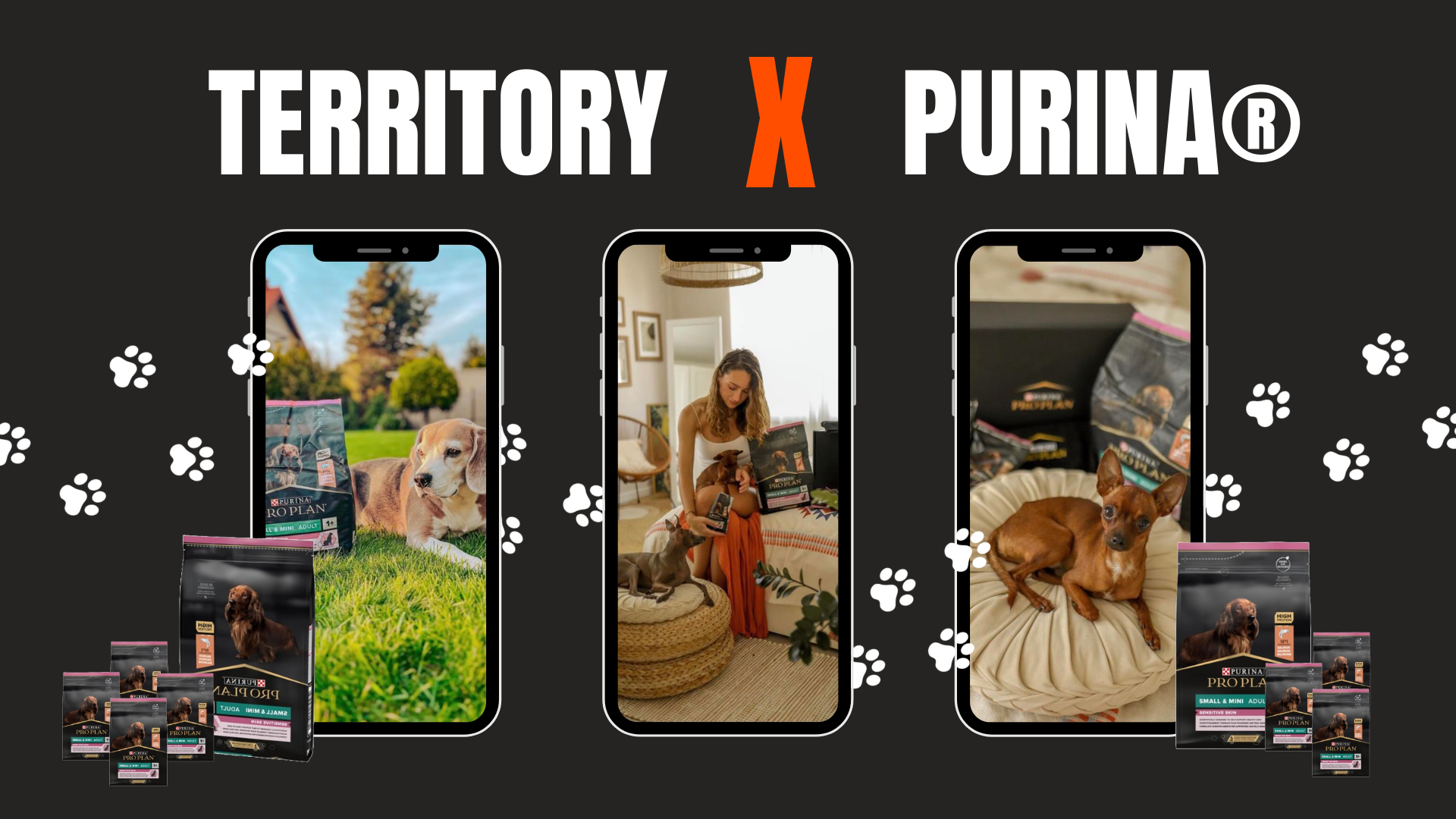 TERRITORY Influence & Purina